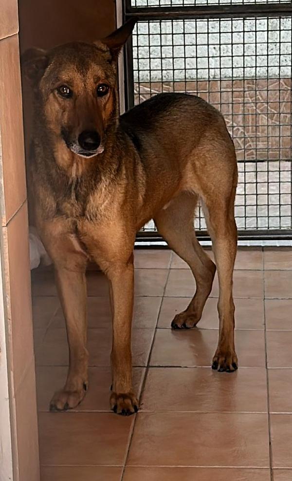 ULISSE TIMIDONE Foto 5